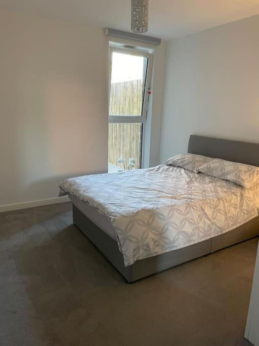 Spacious Apartment In The Heart Of Chelmsford Dış mekan fotoğraf